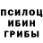 Псилоцибиновые грибы GOLDEN TEACHER Adi Elissa