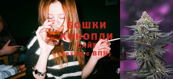 соль ск Арсеньев