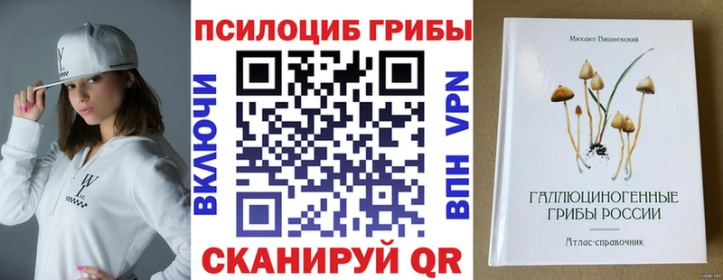 нарко площадка какой сайт Артёмовск Галлюциногенные грибы Psilocybe